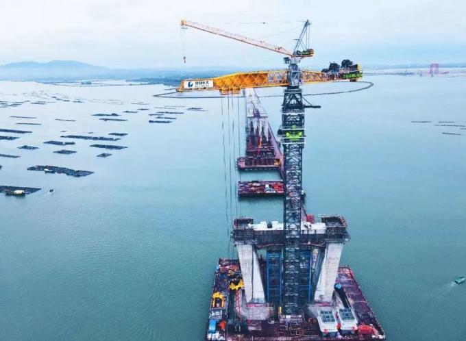 Used Tower Crane for 18 Years Xugong Brand · Best-Selling Model (6013-8)